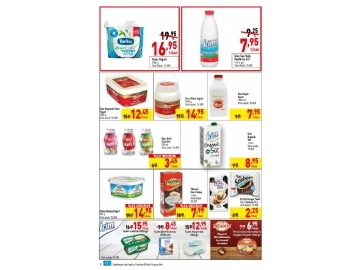 CarrefourSA 28 Ocak  - 10 ubat Katalou - 8