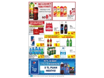 CarrefourSA 28 Ocak  - 10 ubat Katalou - 20