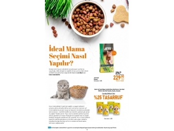 CarrefourSA 1 - 9 Mart Katalou - 43