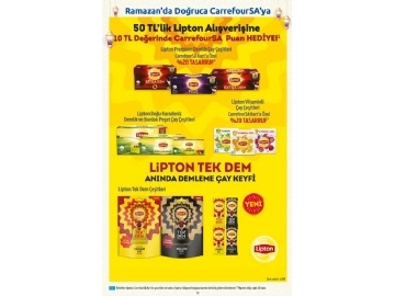 CarrefourSA 22 Mart - 6 Nisan Katalou - 32