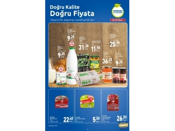 CarrefourSA 22 Mart - 6 Nisan Katalou - 45