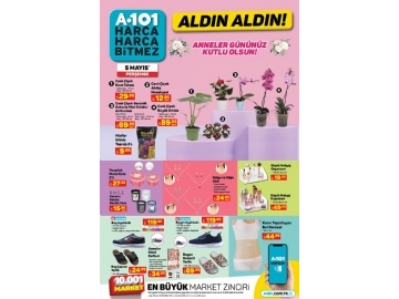 A101 5 Mays Aldn Aldn - 6