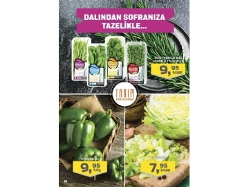 Migros 9 - 22 Haziran Migroskop - 36