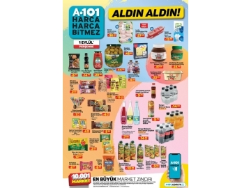 A101 1 Eyll Aldn Aldn - 6