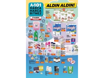 A101 17 Kasm Aldn Aldn - 9