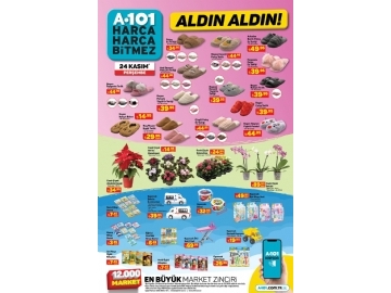 A101 22 Kasm Aldn Aldn - 2