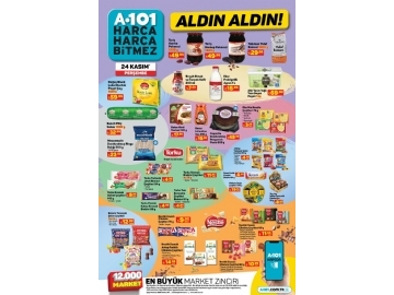 A101 22 Kasm Aldn Aldn - 8