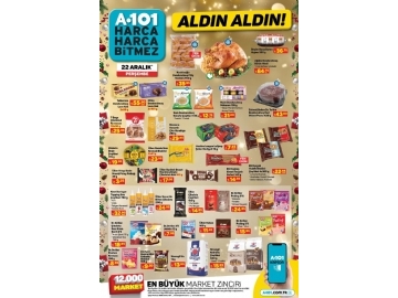 A101 22 Aralk Aldn Aldn - 11
