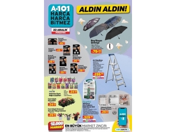 A101 22 Aralk Aldn Aldn - 5