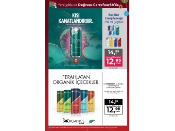 CarrefourSA 15 Aralk - 2 Ocak Ylba Katalou - 23