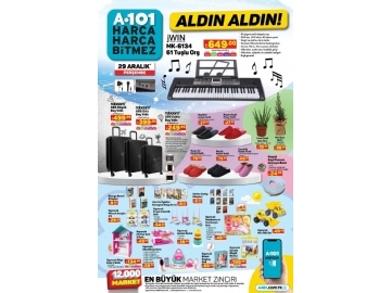 A101 29 Aralk Aldn Aldn - 6