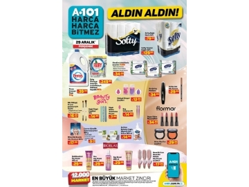 A101 29 Aralk Aldn Aldn - 10