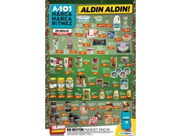 A101 29 Aralk Aldn Aldn - 8