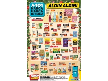 A101 29 Aralk Aldn Aldn - 9