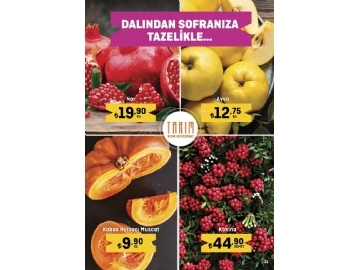 Migros 22 Aralk - 4 Ocak 2023 Ylba Migroskop - 31