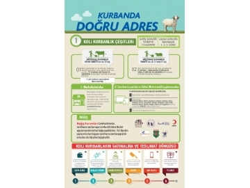 CarrefourSA 4 - 19 Haziran Kurban Bayram Katalou - 77