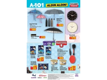 A101 13 Kasm Aldn Aldn - 8