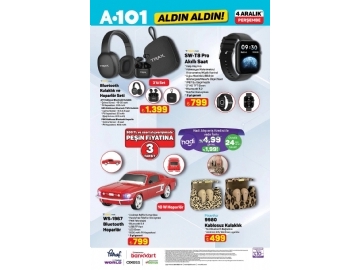 A101 4 Aralk Aldn Aldn - 2