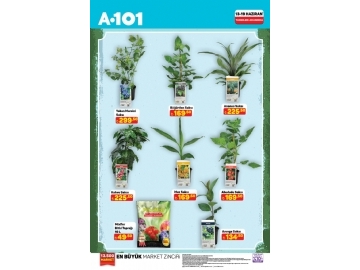 A101 13 - 19 Haziran Haftan�n Y�ld�zlar� - 4
