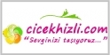 cicekhizli.com