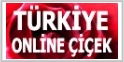 turkiyeonlinecicek.com