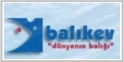 Balk evi