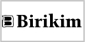 Birikim Yaynlar