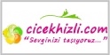 Cicekhizli.com