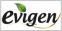 Evigen