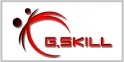 GSkill