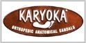 Karyoka