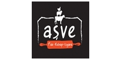 AVE Logo