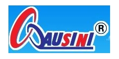 Ausini Logo