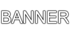Banner Logo