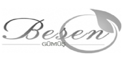 Besen Gm Logo