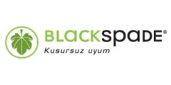 Blackspade Logo