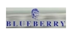 Blueberry Logo