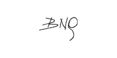 BNG Logo