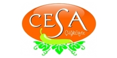 Cesa ikfte Logo