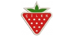 ilek Logo