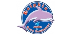 Dolphin Kuru Temizleme Logo