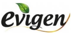 Evigen Logo
