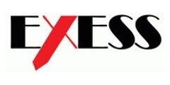 Exess Gzlk Logo