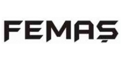 Fema Logo