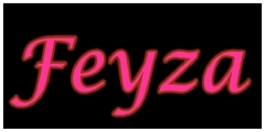 Feyza Logo