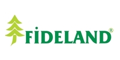 Fideland Logo