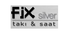 FX Silver Logo