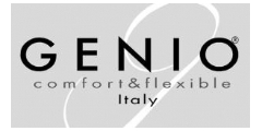 Genio Shoes Logo