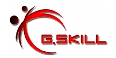 GSkill Logo