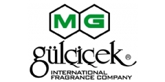 Gliek Logo